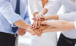 Donec facilisi ulet ipsum